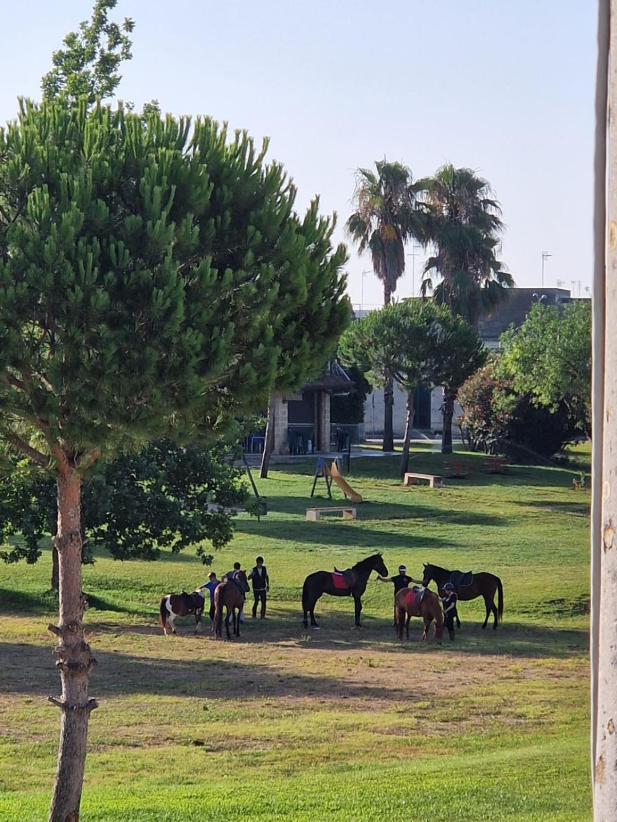 La Macchia Villa Botrugno ภายนอก รูปภาพ