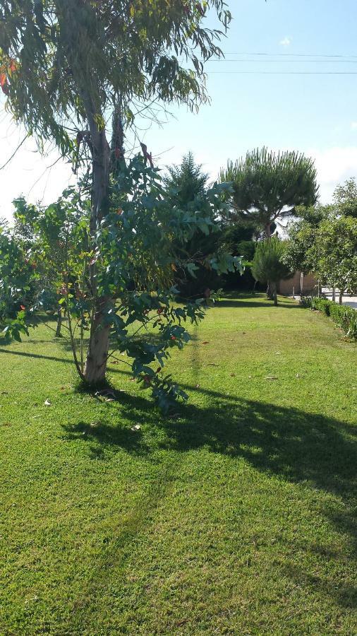 La Macchia Villa Botrugno ภายนอก รูปภาพ